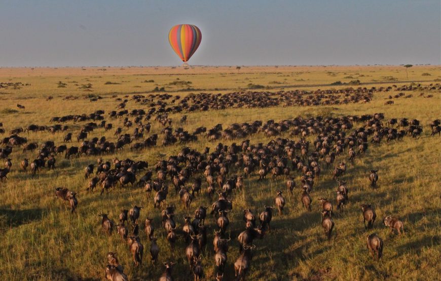 The best 10 days safari in Kenya from Nairobi