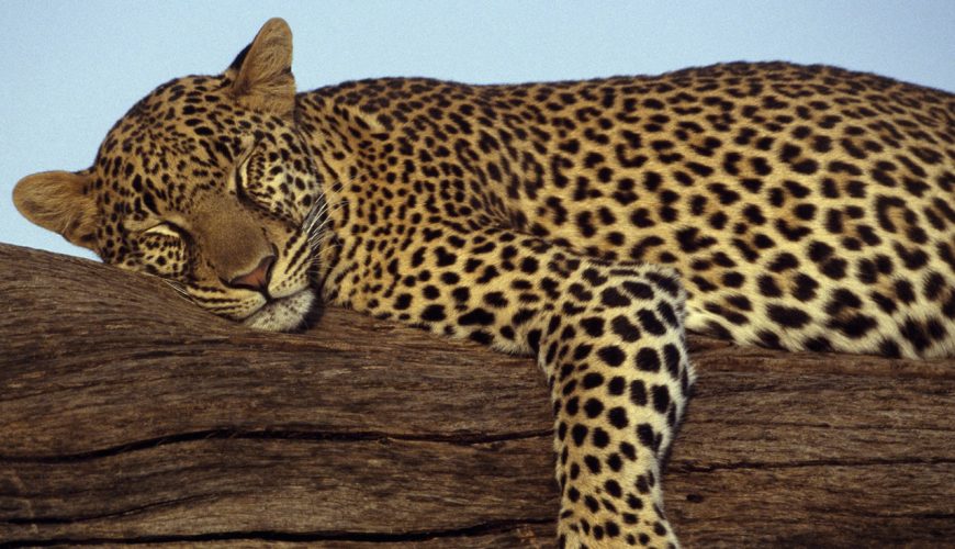 10 Best Places Africa