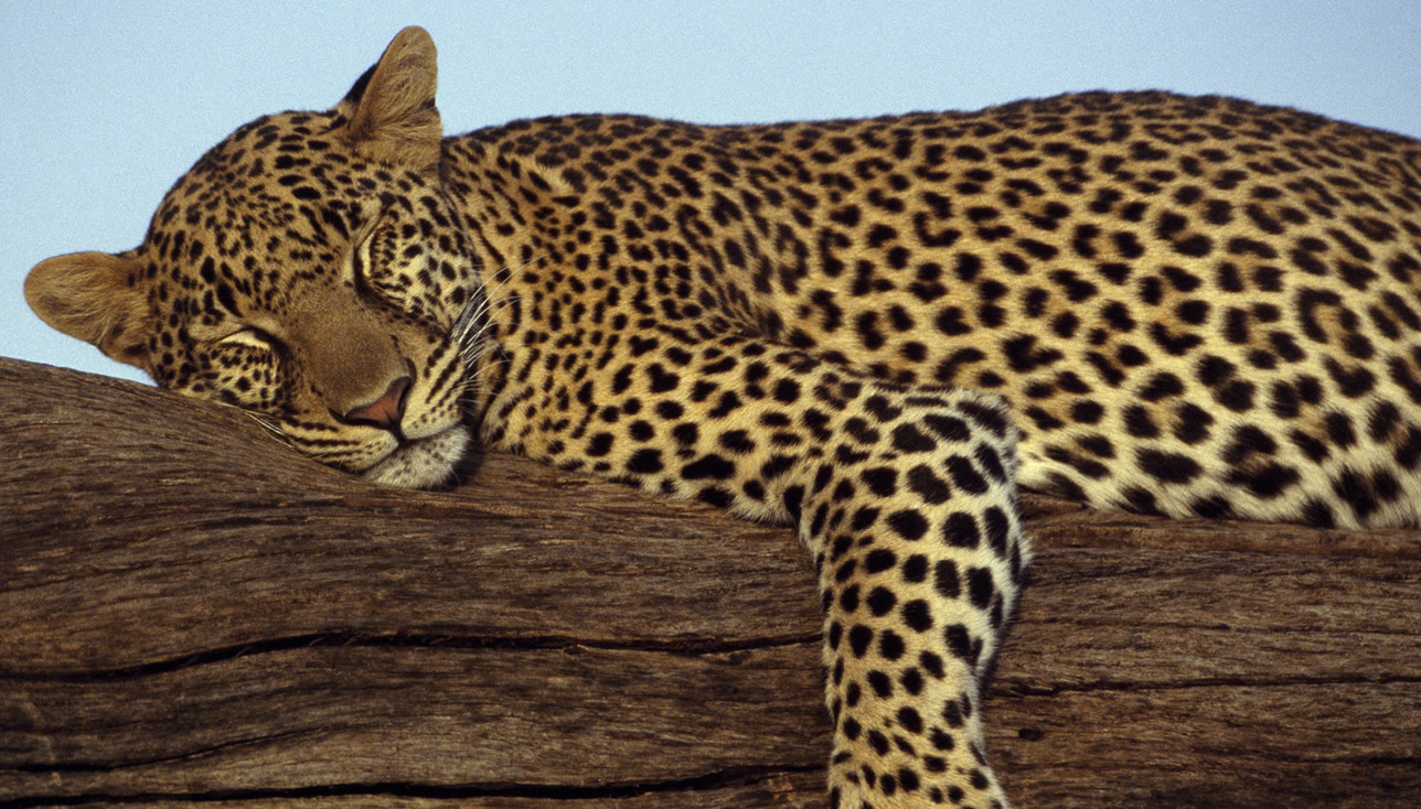 10 Best Places Africa