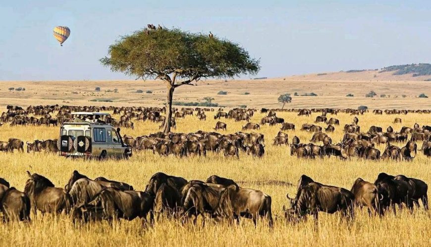 Top best 10 Days Safaris in Kenya