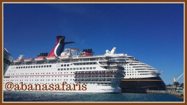 USA Tour with 5 Day Cruise to the Bahamas; the ultimate cruise getaway with details