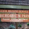 Aberdares National Park Tour - Image 5