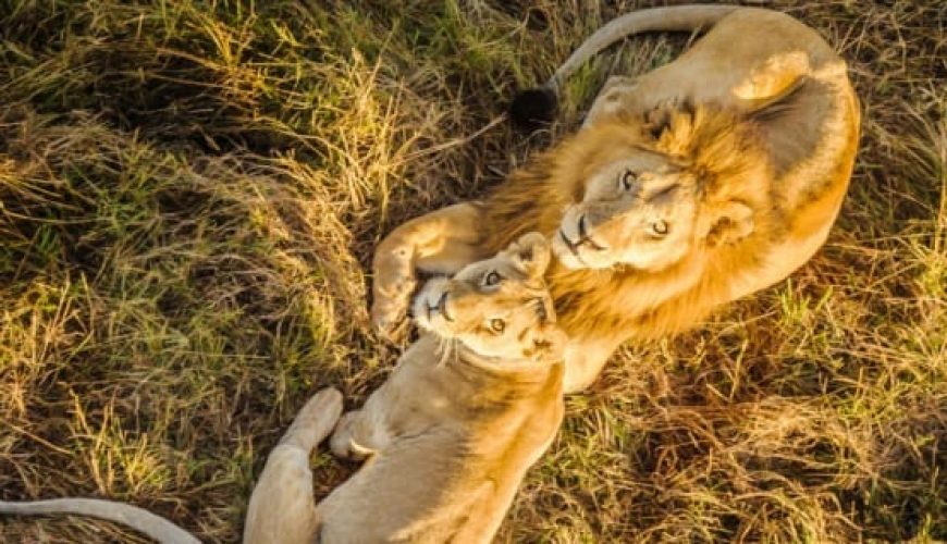 The best 10 days safari in Kenya from Nairobi