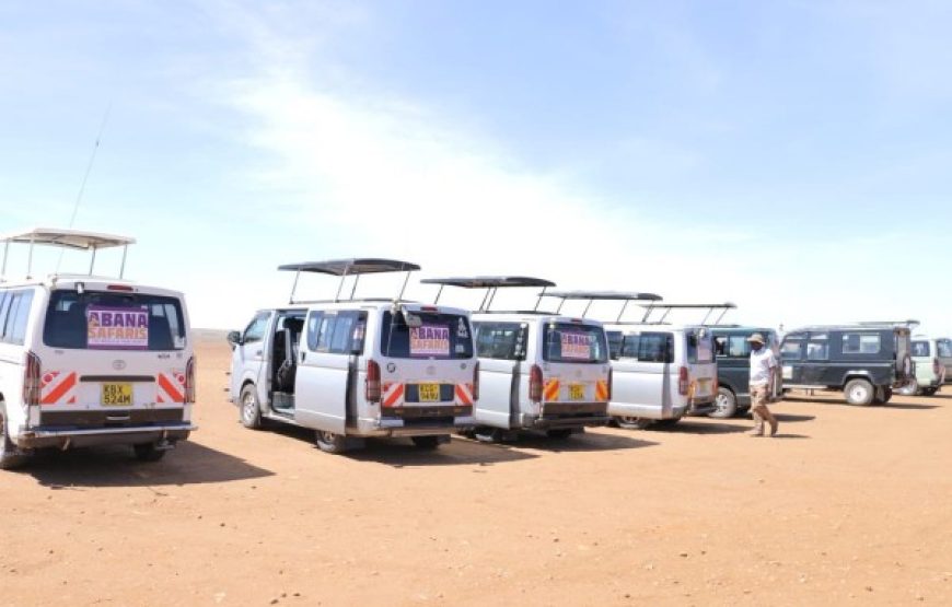 4 Days 3 nights – Best Masai Mara Safari