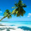 4 NIGHTS 5 DAYS IN MAURITIUS - Image 5