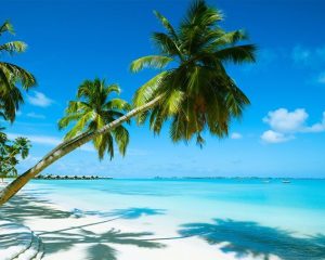 4 NIGHTS 5 DAYS IN MAURITIUS