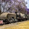 All you need to know about Nairobi Railway Museum - Image 3