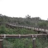 The Nairobi Safari Walk, Nairobi day tour