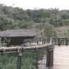 The Nairobi Safari Walk, Nairobi day tour
