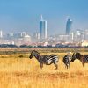The best of Nairobi National Park with details - Image 4